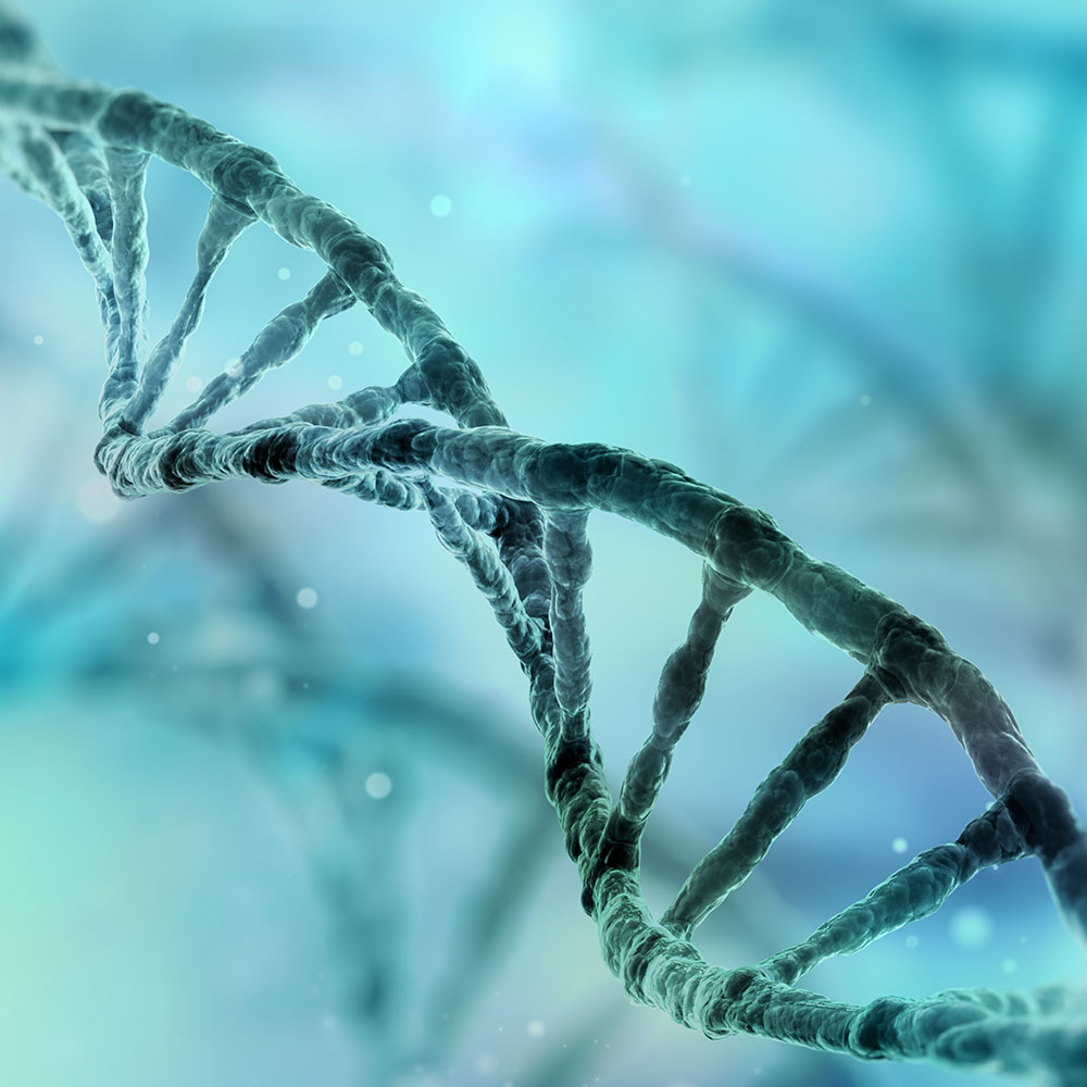 Chromosomenanalyse im Genetik-Labor des Wunschbaby Instituts