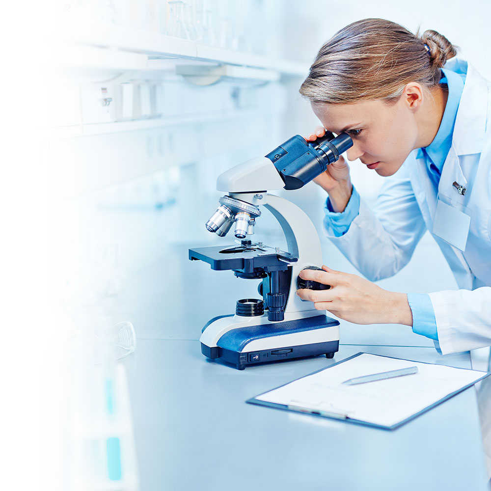 Forschung und Innovation im Genetik-Labor des WIF