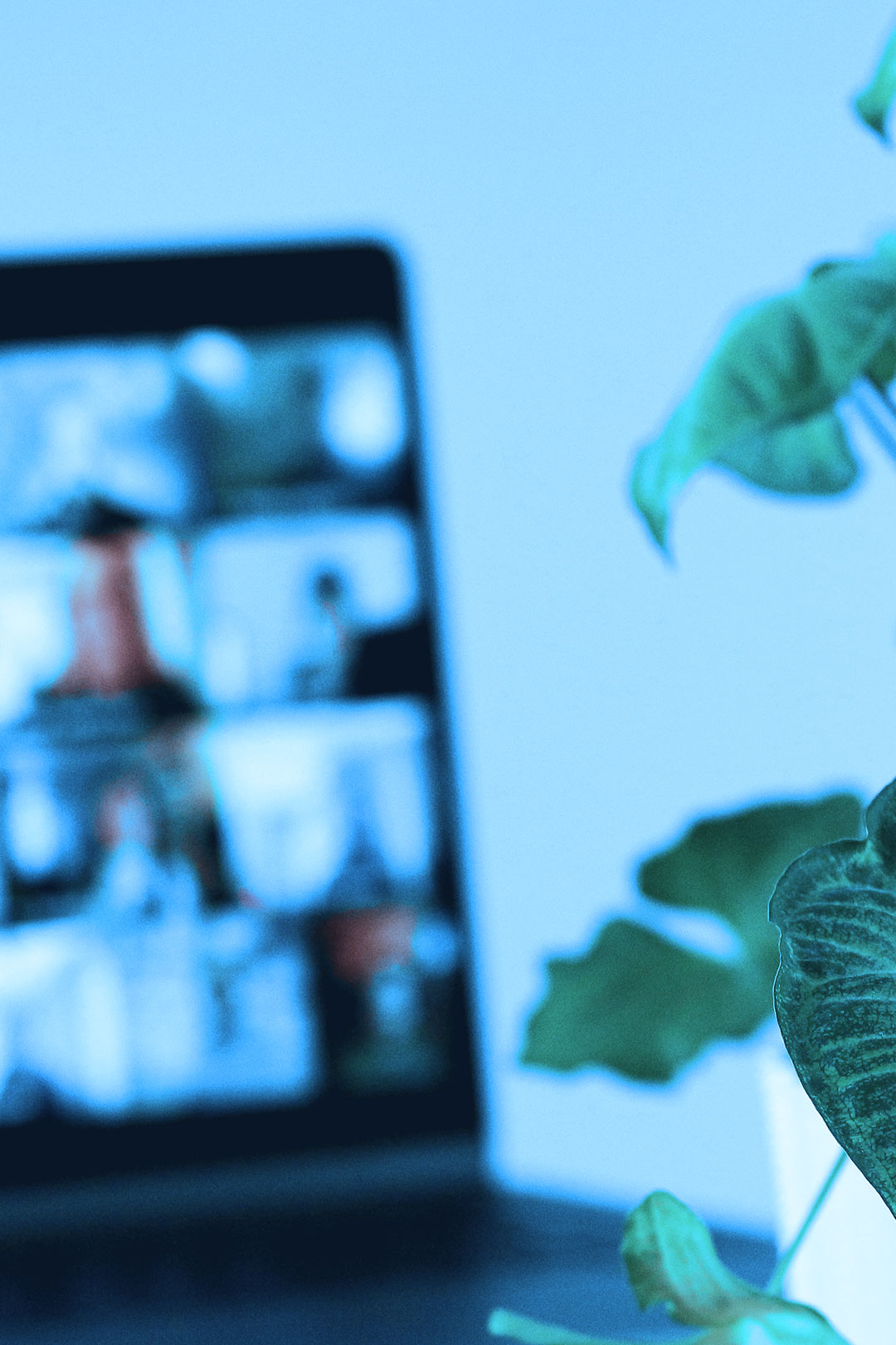 Online-Meetings statt Anreise